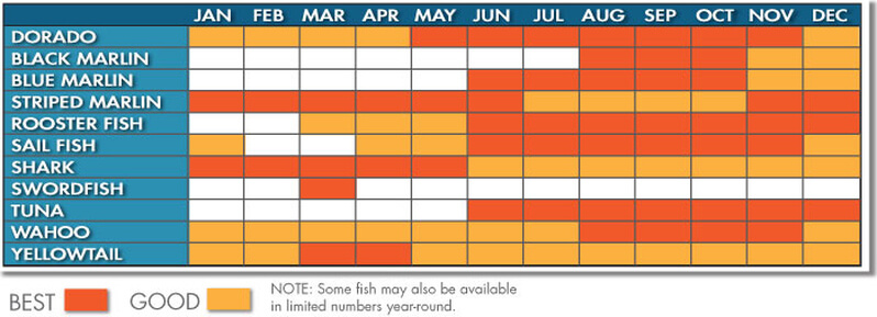 Seasonal Calendar of local Cabo fish