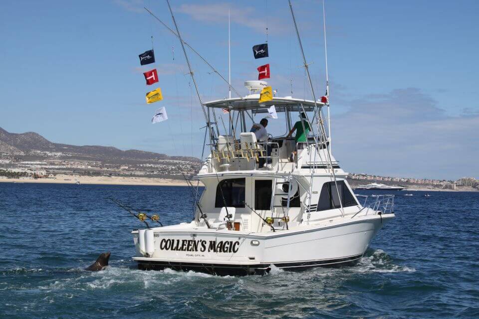 Cabo Fishing Charters yacht Colleens Magic with sea lion cruising on ocean with Cabo San Lucas in the background